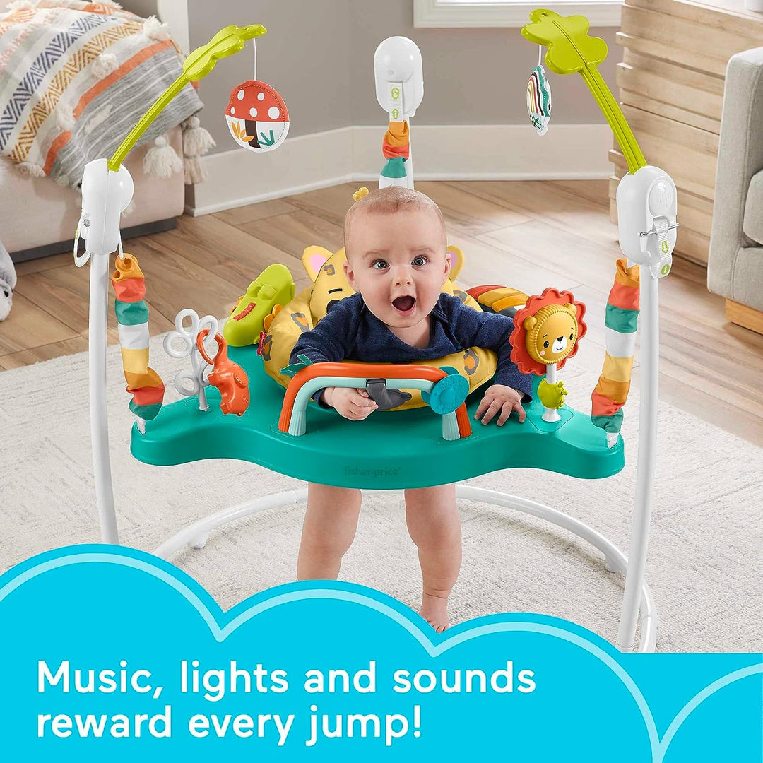 ?Fisher-Price Jumperoo Baby Activity Center with Lights Sounds and Music