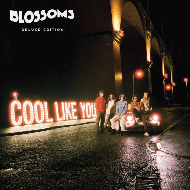 Die Blüten - Cool wie du