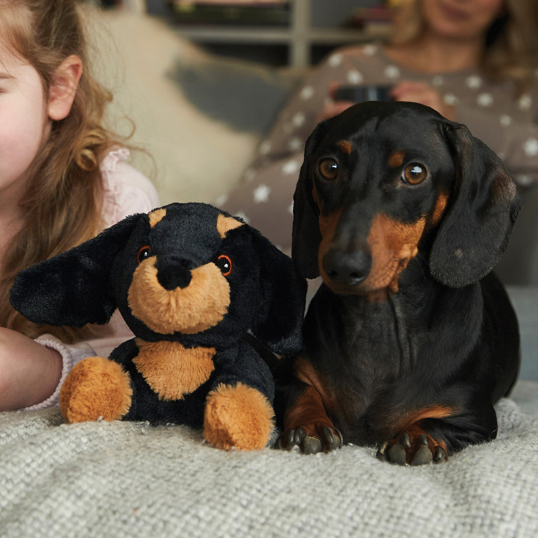 Warmies 13" Dachshund - Fully Heatable Cuddly Toy scented with French Lavender