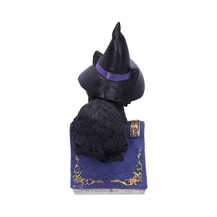 Nemesis Now Pocus Small Witches Familiar Black Cat and Spellbook Figurine 12.7cm